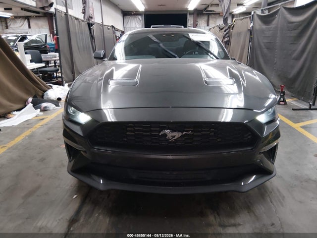 Ford Mustang Ecoboost Fastback 2020 1FA6P8TH4L5173443 Image 12