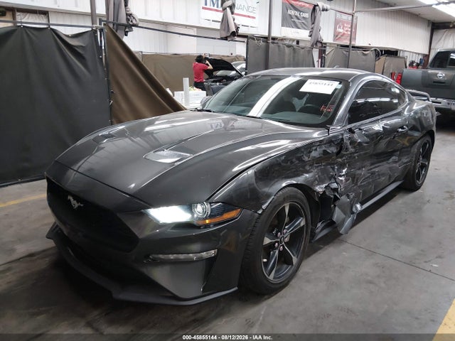 Ford Mustang Ecoboost Fastback 2020 1FA6P8TH4L5173443 Image 2