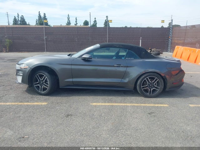 1FATP8UH3K5126226 Ford Mustang Ecoboost Premium