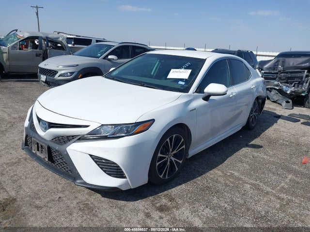 45856537 :رقم المزاد ، 4T1G31AK0LU543062 vin ، 2020 Toyota Camry Se Hybrid مزاد بيع