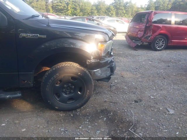 Aukcja sprzedaży 2010 Ford F-150 Xlt, vin: 1FTEX1E88AFB40401, numer aukcji: 45856807