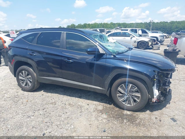 Продаж на аукціоні авто 2024 Hyundai Tucson Hybrid Blue, vin: KM8JBCD17RU196507, номер лоту: 45857840