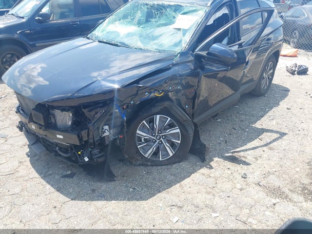 Продаж на аукціоні авто 2024 Hyundai Tucson Hybrid Blue, vin: KM8JBCD17RU196507, номер лоту: 45857840