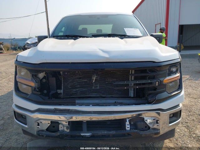 Ford F-150 Xlt 2025 1FTEW3KP1SKE09860 Image 13