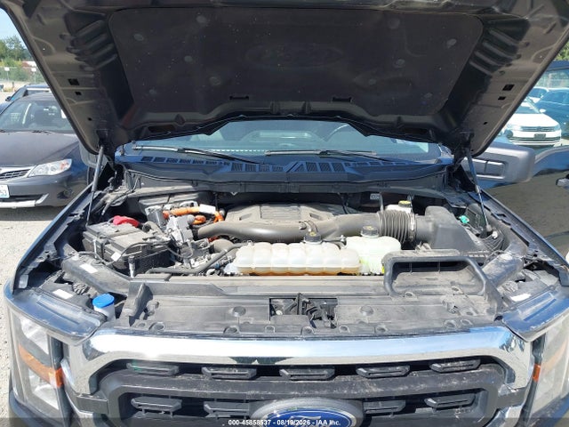 1FTFW1ED2PFB43372 Ford F-150 Xlt