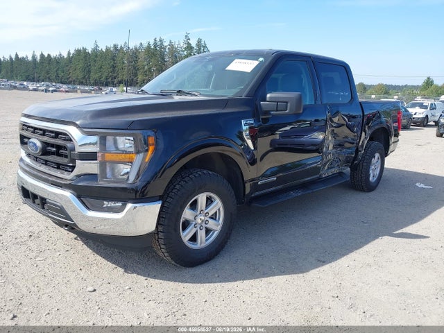 1FTFW1ED2PFB43372 Ford F-150 Xlt