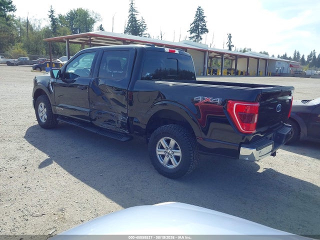 1FTFW1ED2PFB43372 Ford F-150 Xlt