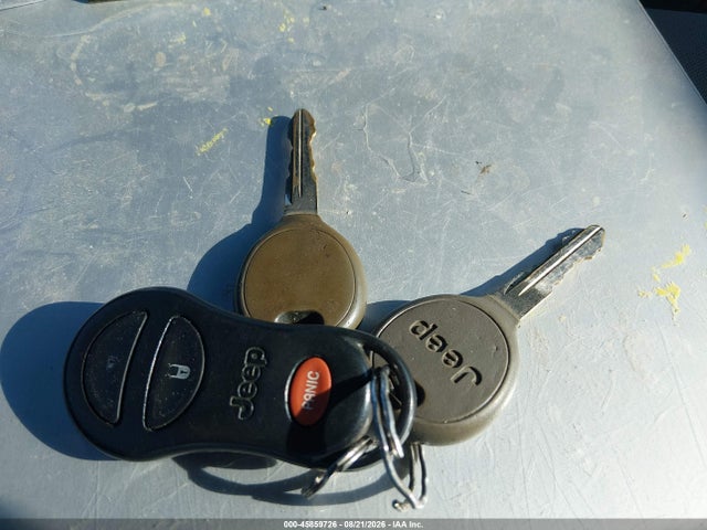2004 Jeep Grand Cherokee Laredo მანქანა იყიდება აუქციონზე, vin: 1J4GW48SX4C349773, აუქციონის ნომერი: 45859726