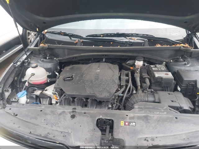 Продаж на аукціоні авто 2024 Kia Sportage X-pro, vin: 5XYK7CDF0RG140934, номер лоту: 45859831