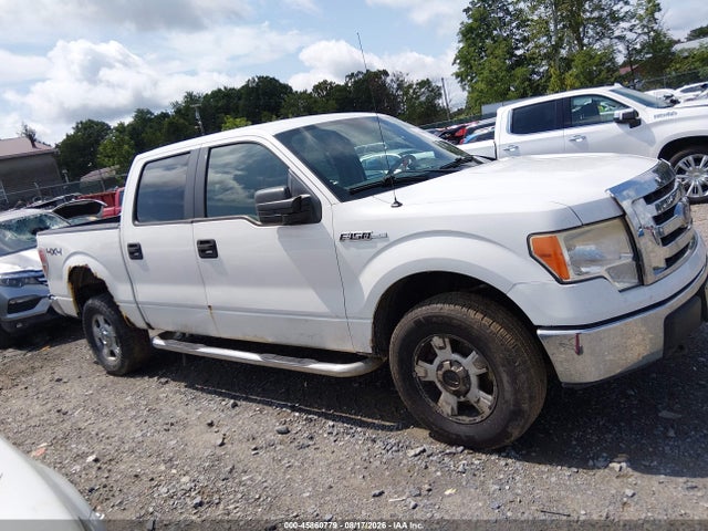 Продажа на аукционе авто 2010 Ford F-150 Xl/xlt, vin: 1FTEW1E83AFA72205, номер лота: 45860779