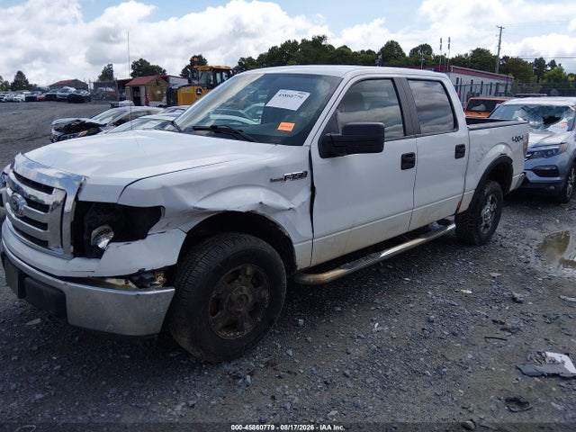 Продажа на аукционе авто 2010 Ford F-150 Xl/xlt, vin: 1FTEW1E83AFA72205, номер лота: 45860779