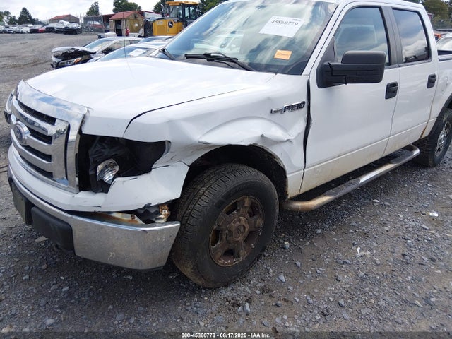 Продажа на аукционе авто 2010 Ford F-150 Xl/xlt, vin: 1FTEW1E83AFA72205, номер лота: 45860779