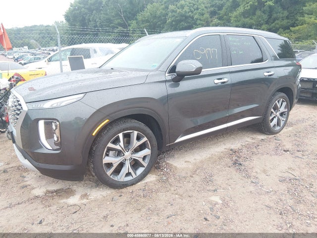 Продаж на аукціоні авто 2020 Hyundai Palisade Sel, vin: KM8R4DHE6LU144504, номер лоту: 45860977