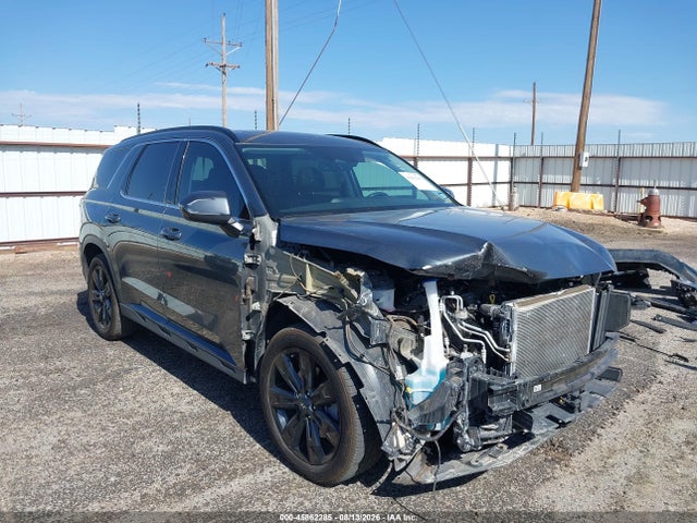 Aukcja sprzedaży 2024 Hyundai Palisade Xrt, vin: KM8R34GE8RU793833, numer aukcji: 45862285