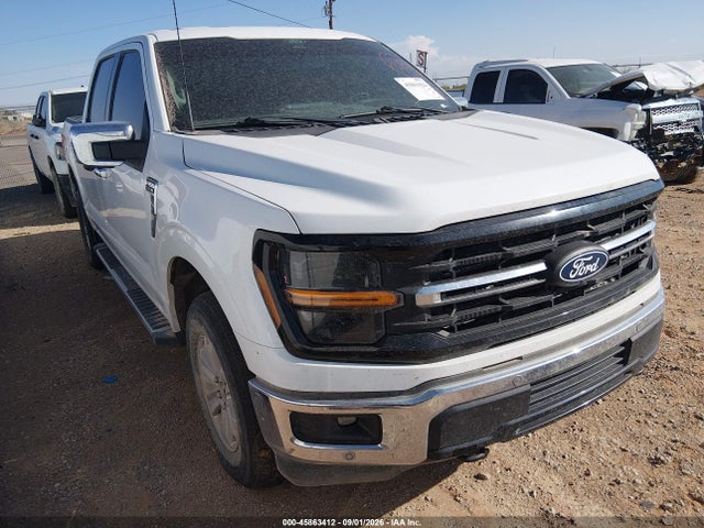 Продаж на аукціоні авто 2024 Ford F-150 Xlt, vin: 1FTFW3L54RKD75358, номер лоту: 45863412