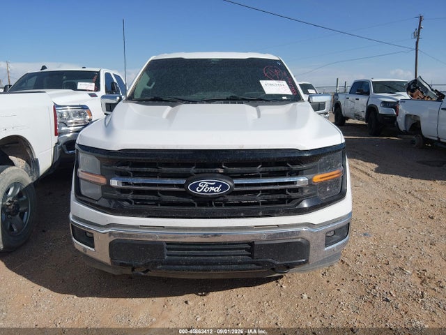 Продаж на аукціоні авто 2024 Ford F-150 Xlt, vin: 1FTFW3L54RKD75358, номер лоту: 45863412