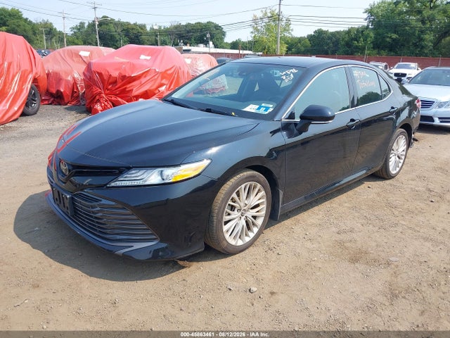 Продаж на аукціоні авто 2020 Toyota Camry Xle, vin: 4T1F11AK5LU905596, номер лоту: 45863461