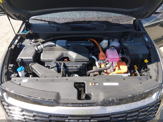 Продаж на аукціоні авто 2026 Kia Sportage Hybrid Ex, vin: KNDPVDDGXT7325118, номер лоту: 45863751