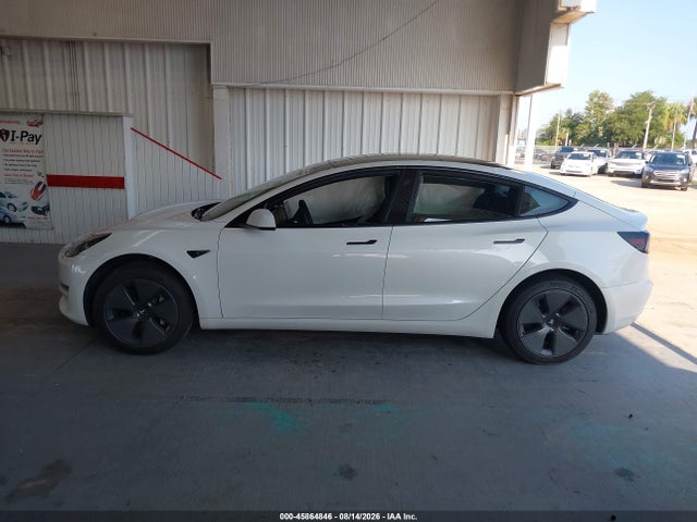 Продаж на аукціоні авто 2023 Tesla Model 3 Rear-wheel Drive, vin: 5YJ3E1EA5PF569251, номер лоту: 45864846