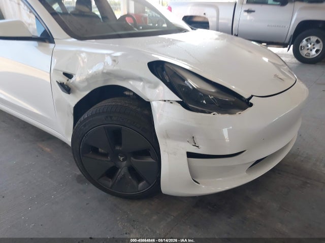 Продаж на аукціоні авто 2023 Tesla Model 3 Rear-wheel Drive, vin: 5YJ3E1EA5PF569251, номер лоту: 45864846