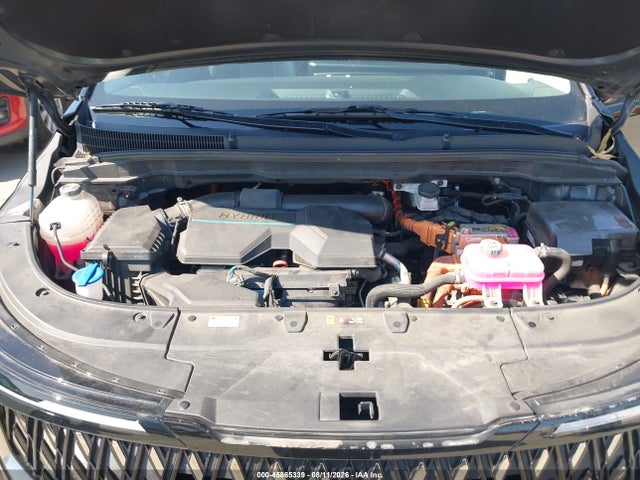 KIA Carnival Mpv Hybrid Ex 2025 KNDNC5KA1S6033802 Image 10
