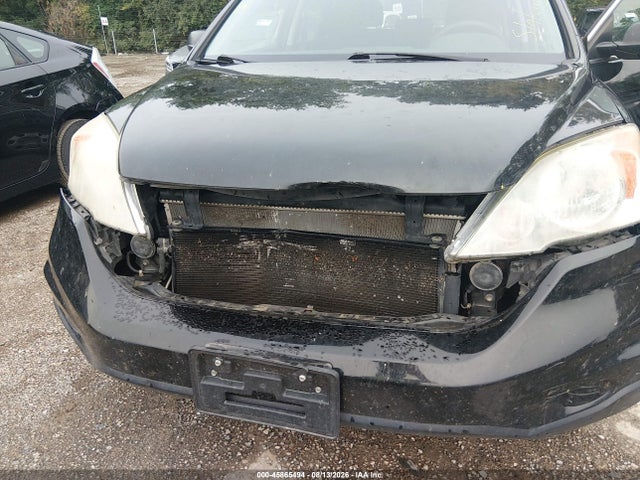 Auction sale of the 2010 Honda Cr-v Lx, vin: 5J6RE4H31AL065576, lot number: 45865494