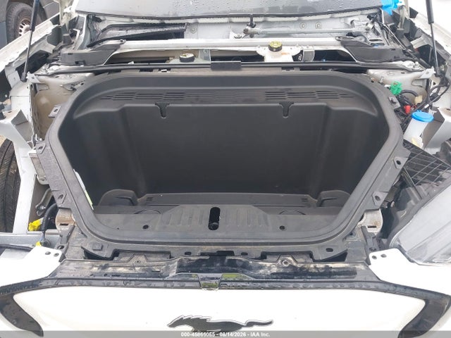 Ford Mustang Mach-e Premium 2024 3FMTK3R40RMA06904 Image 10