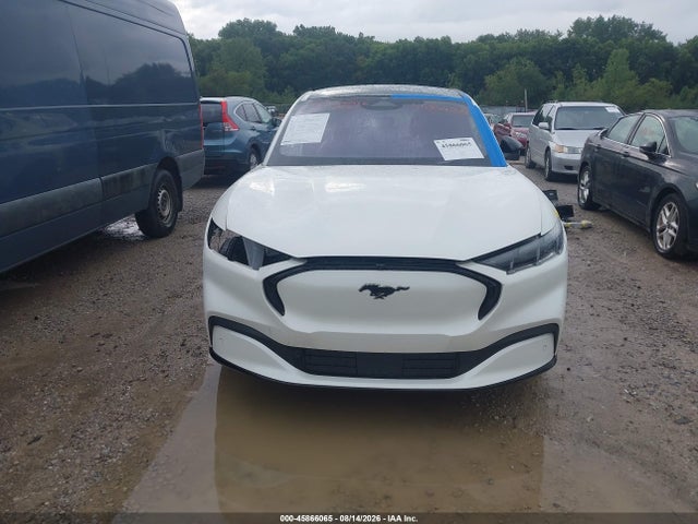 Ford Mustang Mach-e Premium 2024 3FMTK3R40RMA06904 Image 13