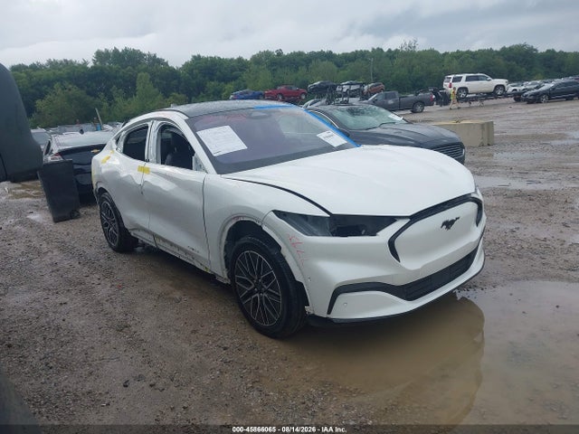 Ford Mustang Mach-e Premium 2024 3FMTK3R40RMA06904 Image 14