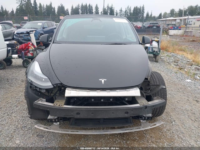 Продаж на аукціоні авто 2024 Tesla Model Y Long Range Dual Motor All-wheel Drive, vin: 7SAYGAEE6RF981221, номер лоту: 45866712