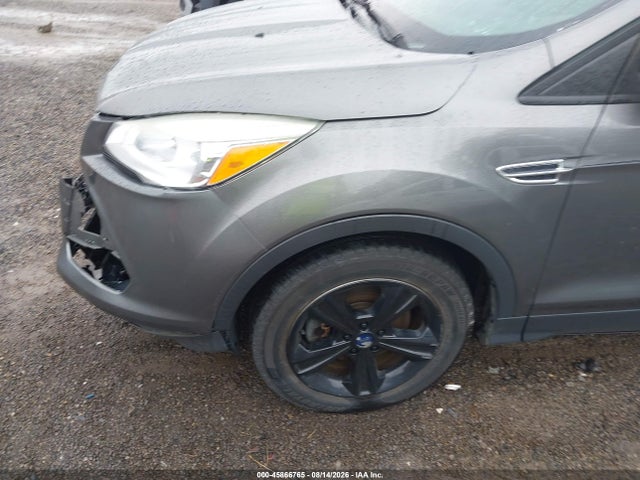 Продажа на аукционе авто 2014 Ford Escape Se, vin: 1FMCU9GX5EUC82544, номер лота: 45866765