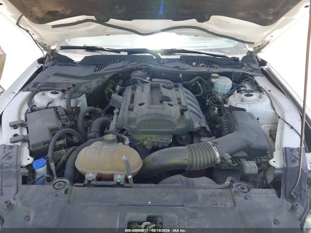 Ford Mustang Ecoboost Fastback 2020 1FA6P8TH0L5124305 Image 10