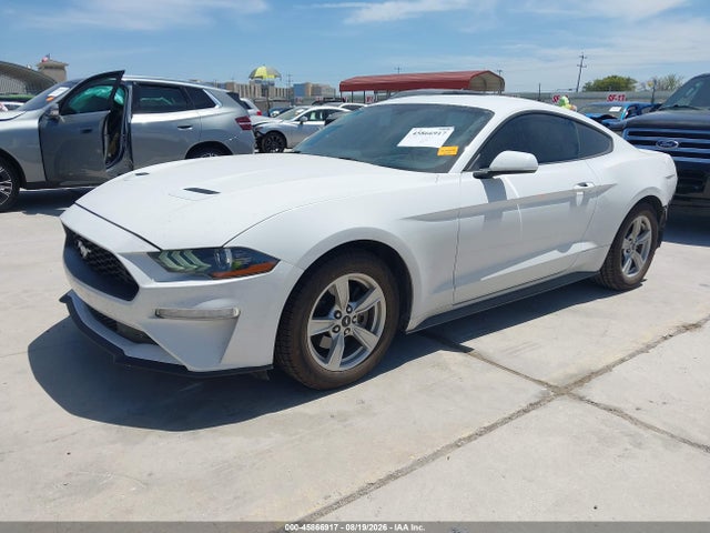 Ford Mustang Ecoboost Fastback 2020 1FA6P8TH0L5124305 Image 2