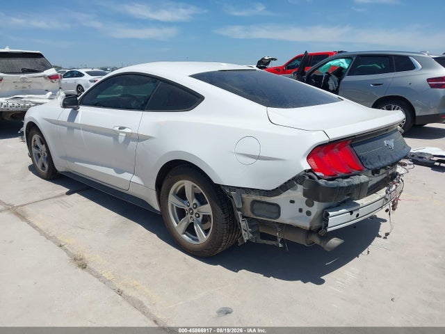 Ford Mustang Ecoboost Fastback 2020 1FA6P8TH0L5124305 Image 3