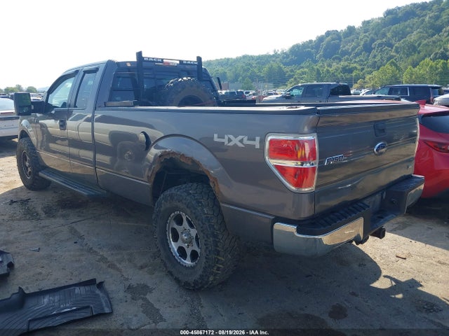 Продажа на аукционе авто 2010 Ford F-150 Xlt W/hd Payload Pkg, vin: 1FTVX1EV7AKE55901, номер лота: 45867172