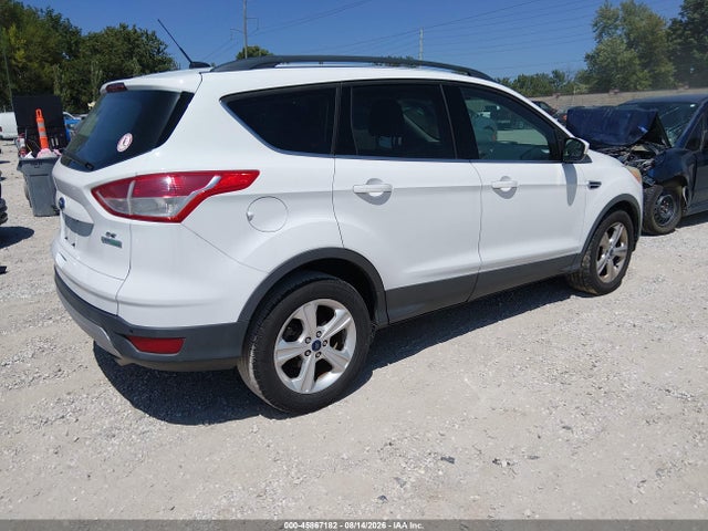 Ford ESCAPE SE 2014 1FMCU0GX7EUB96888 Image 4