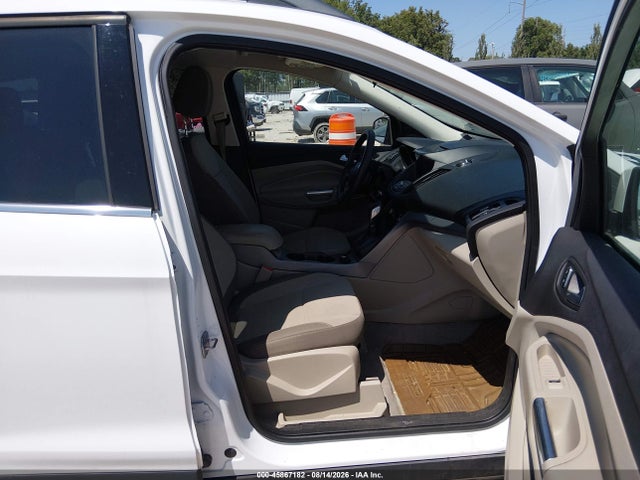 Ford ESCAPE SE 2014 1FMCU0GX7EUB96888 Image 5