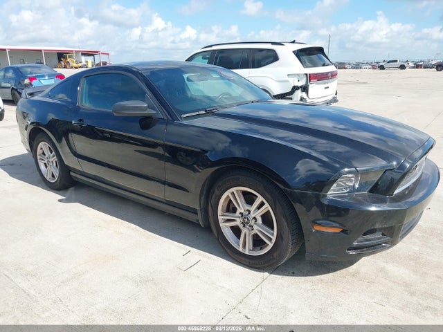 1ZVBP8AMXE5227689 Ford Mustang V6