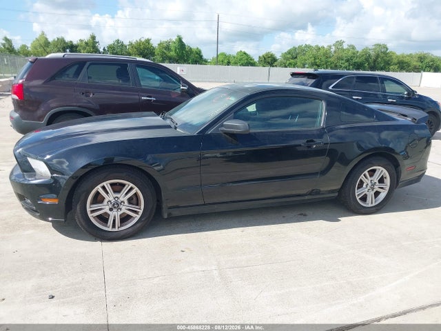 1ZVBP8AMXE5227689 Ford Mustang V6