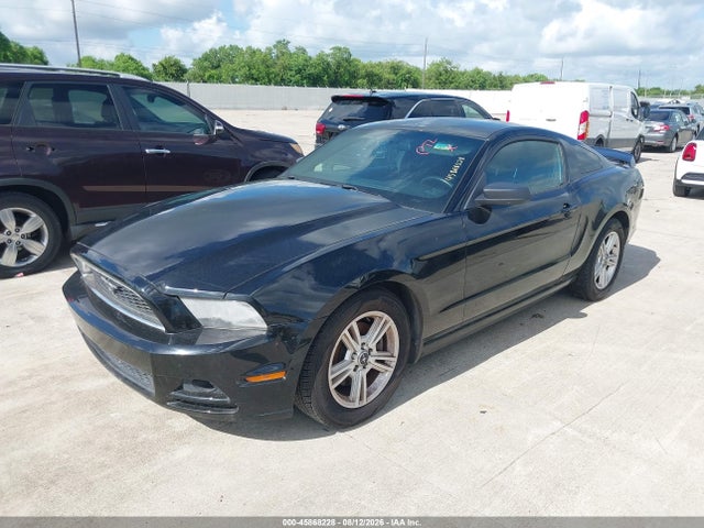 1ZVBP8AMXE5227689 Ford Mustang V6