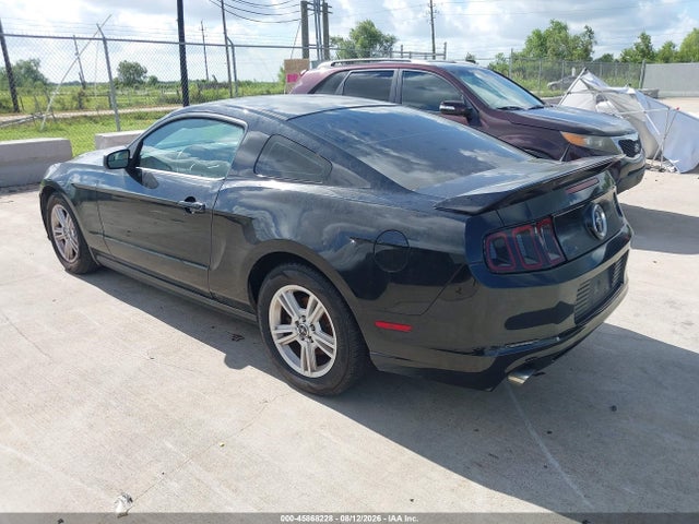 1ZVBP8AMXE5227689 Ford Mustang V6