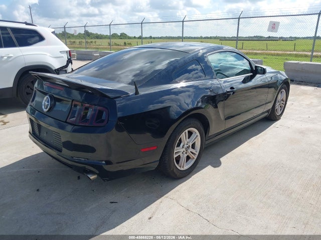 1ZVBP8AMXE5227689 Ford Mustang V6