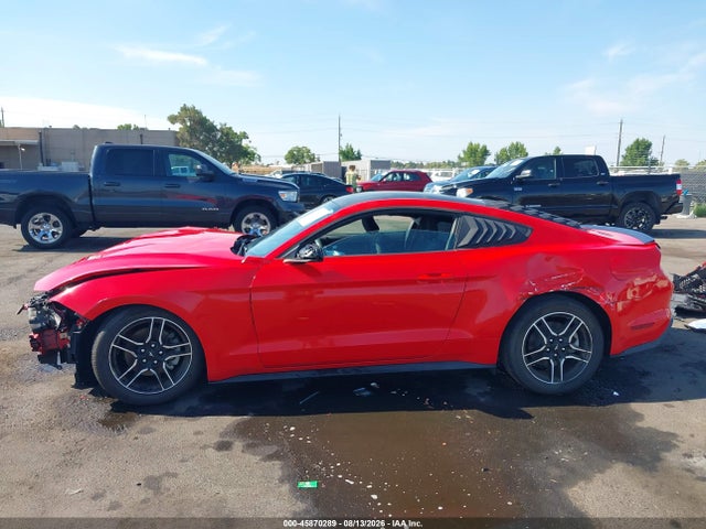 Ford Mustang Ecoboost Fastback 2021 1FA6P8TH0M5120210 Image 14