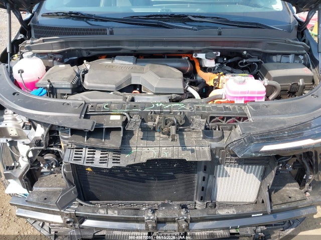 KNDNB5KAXT6165431 KIA Carnival Mpv Hybrid Lxs