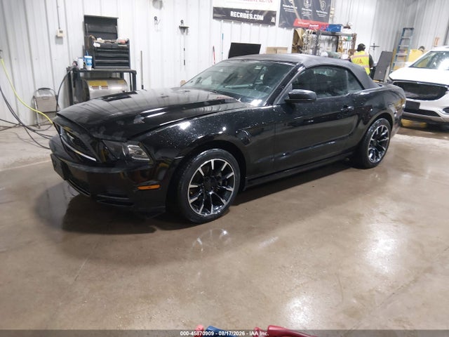 45870909 :رقم المزاد ، 1ZVBP8EM7D5272369 vin ، 2013 Ford Mustang V6 مزاد بيع