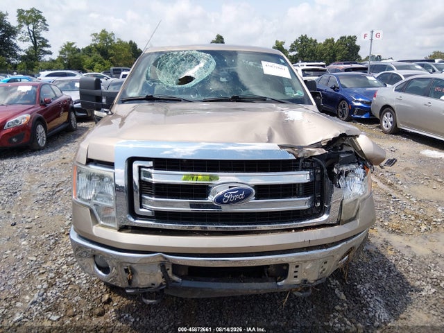 Продажа на аукционе авто 2013 Ford F-150 Xlt W/hd Payload Pkg, vin: 1FTVX1ET2DKF02710, номер лота: 45872661