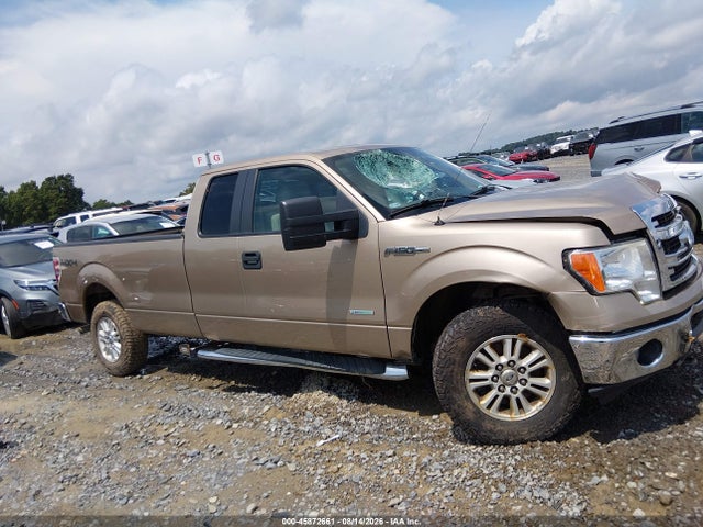 Продажа на аукционе авто 2013 Ford F-150 Xlt W/hd Payload Pkg, vin: 1FTVX1ET2DKF02710, номер лота: 45872661