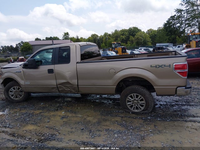 Продажа на аукционе авто 2013 Ford F-150 Xlt W/hd Payload Pkg, vin: 1FTVX1ET2DKF02710, номер лота: 45872661
