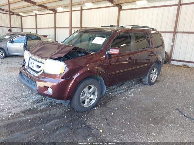 45872901 :رقم المزاد ، 5FNYF48589B035344 vin ، 2009 Honda Pilot Ex-l مزاد بيع