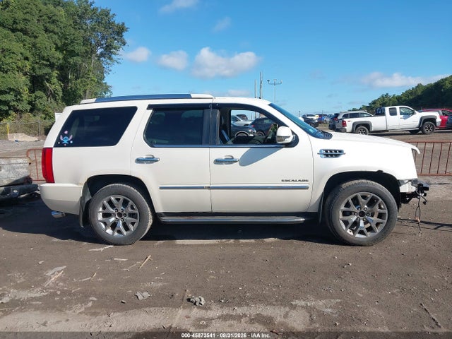 Aukcja sprzedaży 2010 Cadillac Escalade Luxury, vin: 1GYUKBEF3AR271212, numer aukcji: 45873541